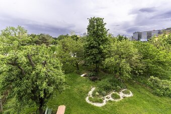 Prodej rodinného domu s investičním potenciálem v Praze Mich - 5