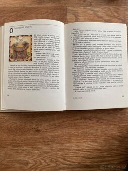 O kouzelném ptáku Zymyrykovi - 5