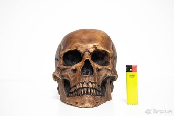 Lebka 1:1 s patinou pod přilbu, totenkopf, SS, WWII, helma, - 5