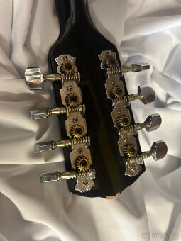 Mandolína - 5