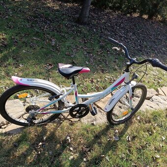 Dívčí kolo CTM "20" - 5