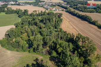 Prodej lesa, 2252 m², Horka nad Moravou - 5