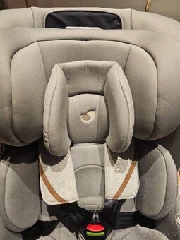 Joie i-Prodigi Signature oyster - 5