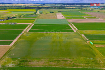 Prodej pole, 4454 m², Dřísy - 5