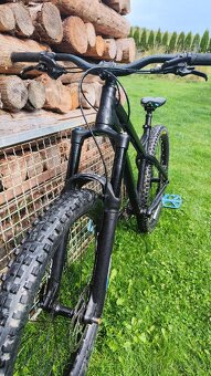 Dartmoor primal 2021 - 5