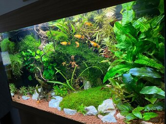 Akvarijní komplet Juwel Rio 125 - 5