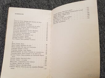 Hommage de Prague à Paris - 5