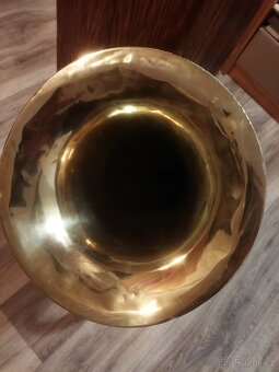 Baskřídlovka - tenor - 5