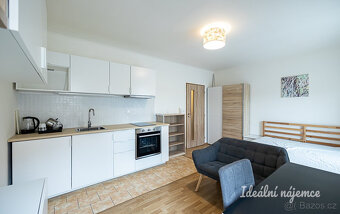 Pronájem bytu 1+kk, Komenského, Šestajovice u Prahy, 13900 K - 5