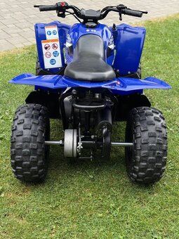 Yamaha Raptor 50 - 5