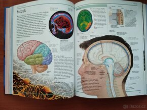 Různé dětské knihy a encyklopedie - 5