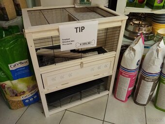 Prodám morčata i s králíkárnou - 5