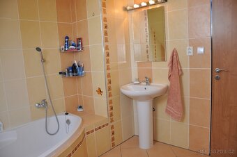 Pronajmu byt 3+kk - Město Touškov - 5