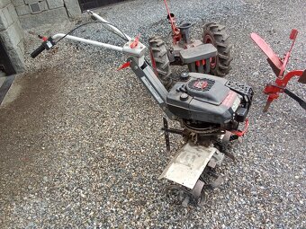 Zahradní tera Balcar - 5