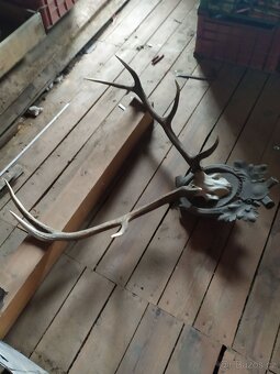 JELENÍ PAROŽÍ - 5