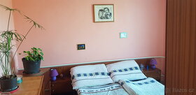 Investiční nemovitost - bytová jednotka - Plzeňský kraj - 5