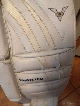 Betony Vaughn 36+1 - 5