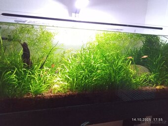 Prodám akvárium 160 l - 5