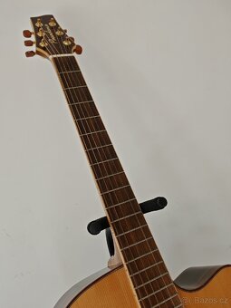 Celomasivní elektroakustická kytara - D333SCE, Pasadena - 5