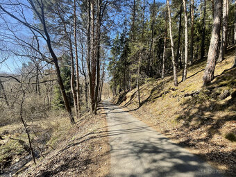 Prodej zahrady v Janovicích u Sušice 782 m2 - 5