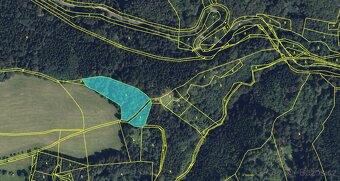 Prodám lesní pozemky v k.ú. Zborov na Moravě - 5