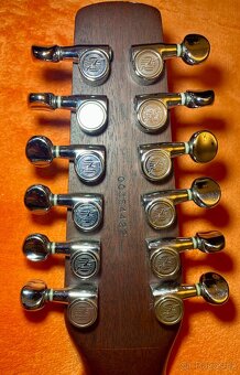 12strunná akustická kytara Seagull CEDR - 5