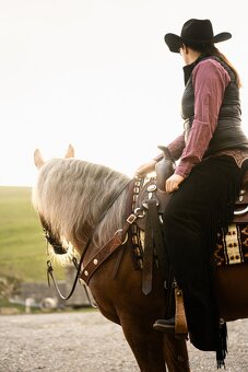 Pripúšťanie QH Palomino -reining - 5