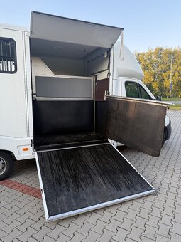 Peugeot boxer na přepravu koní - 5