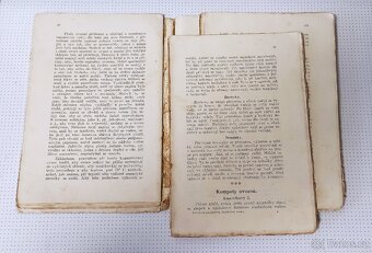 Nakládání, zavařování a používání všeho ovoce i zeleniny - 5