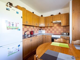 Prodej rodinného domu 3+kk se zahradou, Černíkovice - 5