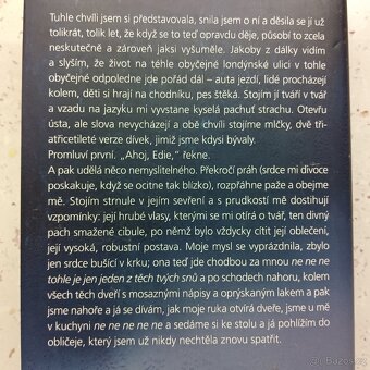 Kamkoliv půjdeš - Camila Wayova - 5