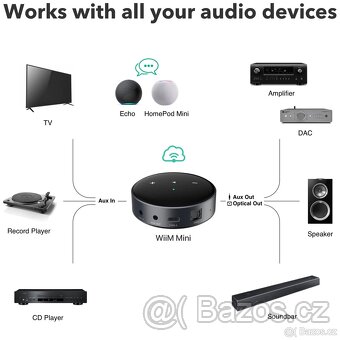 WIIM MINI STREAMER - 5