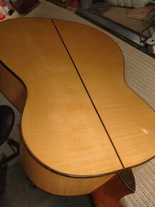 Celomasivni klasicka kytara - 5