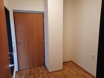 Pronájem bezbariérového bytu 1+kk 30 m² Ryžoviště, okres Bru - 5