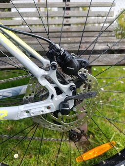 Kellys spider 70 - 5
