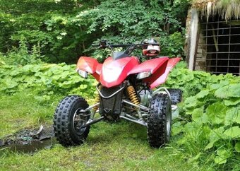 SMC 300 ram - 5
