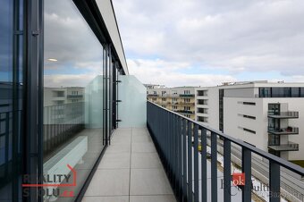 Pronájem, byty/1+kk, 44 m2, Železná 3061/10, Jižní Předměstí - 5