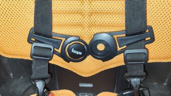 Cyklosedačka Bellelli Tiger - 5