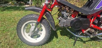 Babetta Stella 134 - 5