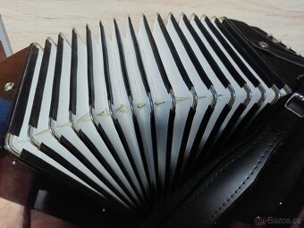 WELTMEISTER S5 120 bass CASSOTTO - 5