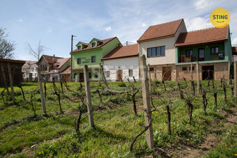 Pozemek pro rodinné vinařství s vinicemi na dvou par, 132041 - 5