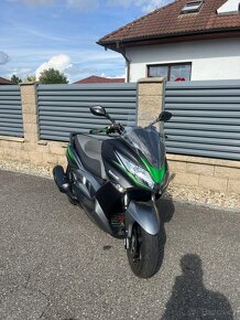 Kawasaki 300 - 5