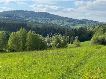 Prodej stavebního pozemku, Černá v Pošumaví - 5