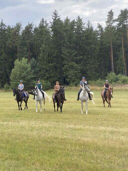 TRAKÉNSKÁ KLISNA - 5