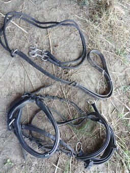 Lonzovaci uzdecka s pevnym chambonem - 5