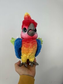 Mluvící papoušek - 5