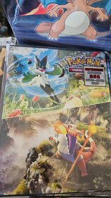 Pokemon - 5