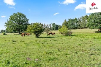Prodej louky 294722 m2, Vrchotovy Janovice - 5