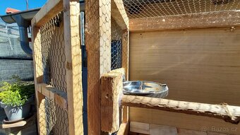Bednove klece - 5