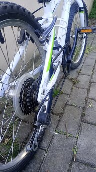 Dětské kolo 4Ever 20" - 5